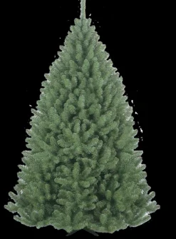 Clearance Arbre Noël Belleridge 150cm Sapins De Noël