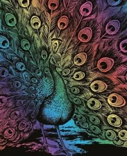 Hot Artfoil Rainbow Peacock Matériel De Peinture