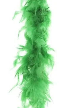Boa 2 mètres 45gr - Vert Accessoires
