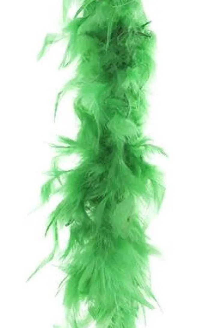 Boa 2 mètres 45gr - Vert Accessoires
