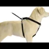 New Collier Gentle Walker noir L Colliers