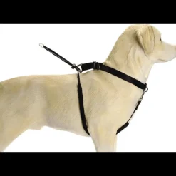 New Collier Gentle Walker noir L Colliers