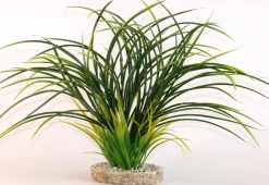 Online Fan grass 30 cm Décoration D'aquariums