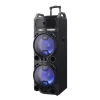 Best Haut-parleur sur chariot avec 2x microphone sans fil 800W Audio