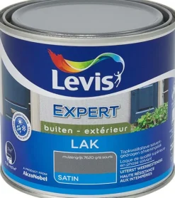 Outlet Laque expert satin gris souris 0,5 L Laques|Laque