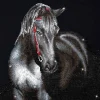 Best Midnight Stallion Diamond Artisanat