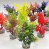Clearance Nano fiesta 13 cm Décoration D'aquariums
