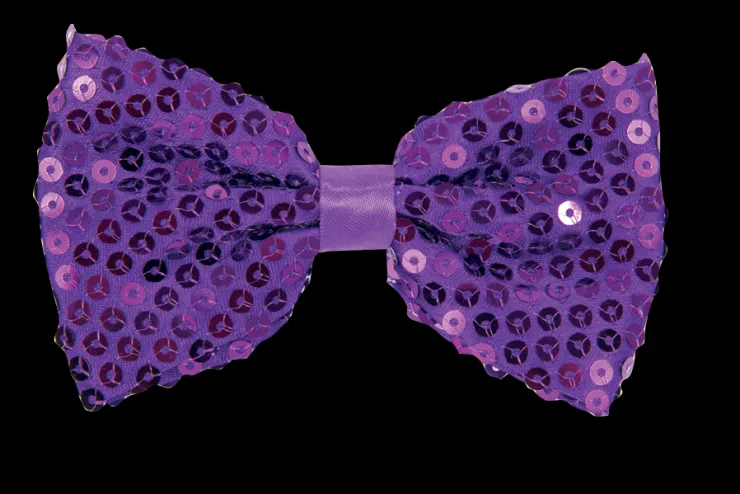 Noeud paillette, purple Accessoires