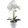 Hot Orchidee Lina Vases Et Cache Pots