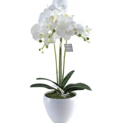 Hot Orchidee Lina Vases Et Cache Pots