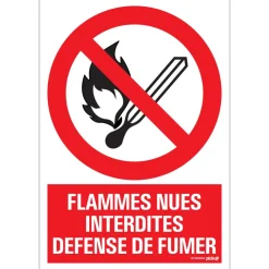 Clearance Pictogramme flammes nues 23 x 33 cm Signalisation