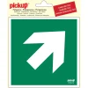 Online Pictogramme flèche 45° 15 x 15 cm Signalisation