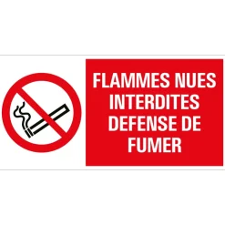 Hot Pictogramme interdit de feu 15 x 30 cm Signalisation