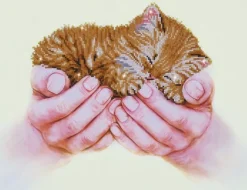 Precious Kitten Diamond Artisanat