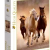 Outlet Puzzle 1000 Running Horses Puzzles