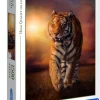 Sale Puzzle 1500 Tiger Puzzles