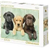 Online Puzzle 1000 Trois Labradors Puzzles