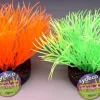 Outlet Sunny plant 11 cm Décoration D'aquariums