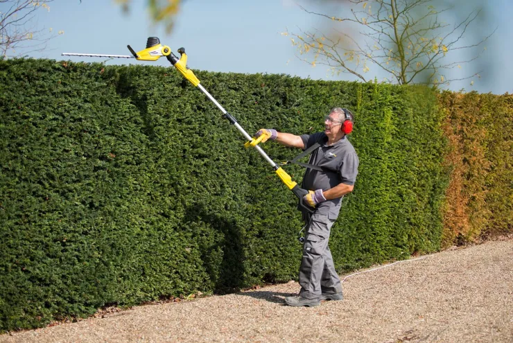 Hot Taille-haies téléscopique 750 W 560 mm Outils Électriques