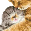 Tender Moment Diamond Artisanat
